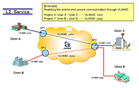 Ethernet Connection Service (L2 Service)