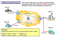 10Gbps Connection Service